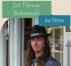 kira kira life sol flower botanicals orius